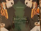 DEAD OR ALIVE -MY HEART GOES BANG GET ME TO THE DOCTOR- RARE MEXICAN 12