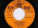 Doo-Wop R&B 45 - Del Vikings - Whispering Bells/Don't Be A Fool - Fee Bee - mp3