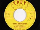 Blues R&B 45 - Elton Anderson - Cool Down Baby - Trey - mp3