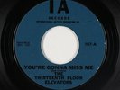 Garage Psych 45 - Thirteenth Floor Elevators - You're Gonna Miss Me - IA VG+ mp3