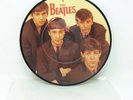 The Beatles UK 45 RP 4949 Love Me Do / P.S. I Love You Picture Disc (Ships Free)