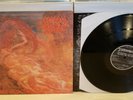 Morbid Angel ?– Blessed Are The Sick original LP