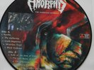AMORPHIS