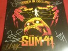 Sum 41 - Order In Decline - 12” Yellow Vinyl - Signed 