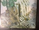 Rare Cuban LP / LAZARO ROS & GRUPO OLORUN / OLORUN-1 / AFROCUBAN / Areito