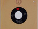 TOWNES VAN ZANDT: No Place To Fall US TOMATO ’78 Blues Rock Folk 45 VG++