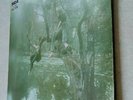 Fresh Maggots. 1971. RCA - Sf 8205 Victor Fresh Maggots LP. Very Rare Album.