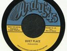 PARAGONS/I ROY - Quiet Place - Vinyl (limited hand-numbered 7