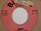 R&B SOUL THE DYNAMICS Misery / I'm The Man BIGTOP 45 WOL / SOL