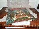 PREDATOR BROWN GREEN CAMO vinyl NEW SEALED
