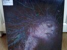 Devil Sold His Soul A Fragile Hope NEW Blue Splatter Vinyl Record LP OOP Rare