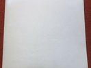 BEATLES WHITE ALBUM NM 1980’s FINAL ANALOGUE VINYL INDENT RING LOOK
