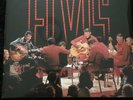 Elvis Presley - The King In The Ring (NEW 2 VINYL LP)