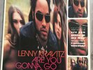 LP Lenny Kravitz Are you gonna go my way 1993 Double LP 8 Bonus Tracks