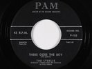Doo-Wop 45 - Lydells - There Goes The Boy - Pam - VG+ mp3