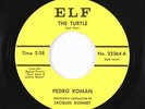 Garage Latin 45 - Pedro Roman - The Turtle - Elf - mp3 - unknown?