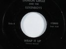 Punk 45 DAMION CIRCLE & THE LUXENBOYS Wrap It Up DEAD RINGER HEAR