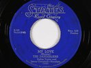 Doo-Wop 45 - Danderliers - My Love - States - mp3