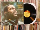 MARVIN GAYE 