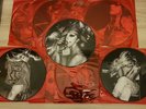 LADY GAGA ///  COLLECTOR BOX PICTURE DISC ///  LP VINYL /// BORN THIS WAY - MINT