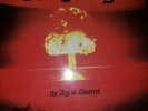 CRO-MAGS The Age Of Quarrel PROFILE LP   VG
