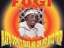 Mary, Don't Take Me on No Bad Trip by Fugi (LP, Mar-2005, Funky Delicacies)