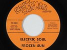 Psych Funk Fuzz 45 - Frozen Sun - Electric Soul - Capt. Zoomar - VG+ mp3