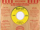 R&B/Doo-Wop 45 - Andre Williams - Bacon Fat - Epic - mp3