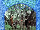 CREEDENCE CLEARWATER REVIVAL - CREEDENCE CLEARWATER REVIVAL - LP - COLORED VINYL