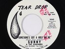 R&B Soul 45 - Sunny & Sunliners - Something's Got A Hold - Tear Drop - VG++ mp3