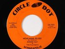 Rockabilly 45 - Ronnie Ray & The Playboys - Mean Mama Blues - Circle Dot VG+ mp3
