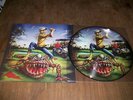 IRON MAIDEN RARE PICTURE THE EVIL IN FLORIDA