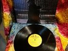 NEIL YOUNG After The Gold Rush 1978 Reissue,  Los Angeles Pressing EX/NM Vinyl