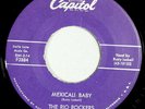 HEAR IT 50's Garage Rocker 45 rpm record The Rio Rockers 
