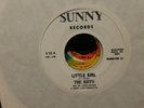 THE RIFFS LITTLE GIRL // WHY ARE THE NIGHTS SO COLD SUNNY DOO WOP NM 45