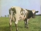 Pink Floyd  Atom Heart Mother LP, Album, RP, Gat Vinyl Schallplatte 137945
