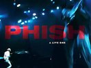 Phish - A Live One 4LP Box Set [Current Pressing 180 gram] LP Vinyl Record Album