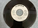 Magic Night 70s Soul 45 Roulette If You And I Had Never Met DJ Copy Mono Stereo