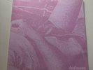 Deafheaven 7” Rare Demo Libertine Dissolves Vinyl LP EP Deathwish Records
