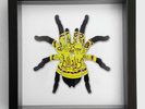 The Cure - Lullaby - Spider Vinyl Record Art 1989