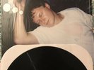 Robert Pollard - Relaxation of the A**hole LP - Guided By Voices