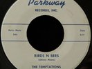 HEAR 45 RARE ROCKABILLY TEMPTATIONS Birds N Bees 1959 on PARKWAY VG++ Holly