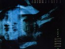Skinny Puppy ?– VIVIsectVI - record vinyl