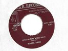 ROGER DARE : What A Time We'll Have ( M.S.R. 615) Great Bad Song Poem 45