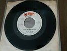 Reggae 45 Delroy WILSON - I'm the one who loves you (NM)