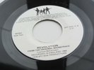 THE BEATLES  HOW DO YOU DO IT - REVOLUTION  1976 3RD USA BEATLES CONVENTION  45