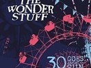 Wonder Stuff The-30 Goes Around The Sun VINYL NEW