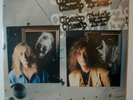 Cheap Trick Busted LP SEALED