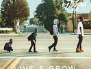 Casey Veggies: Live & Grow (2LPs: 1 Green 1 Orange)