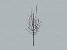 Low: Ones And Sixes (2LPs)